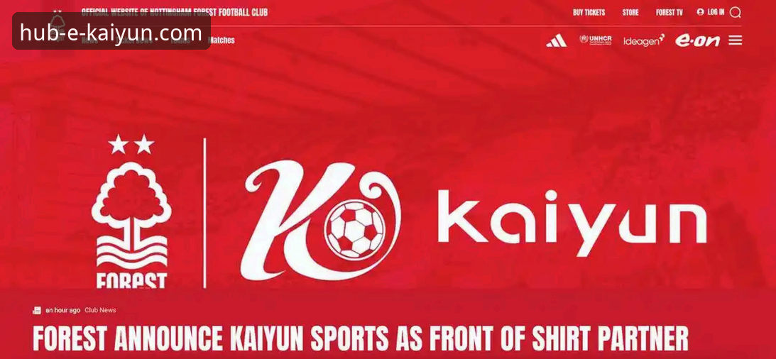 资深分析师解读：开云体育平台如何实现卓越的流畅体验